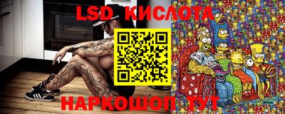 скорость Пугачёв