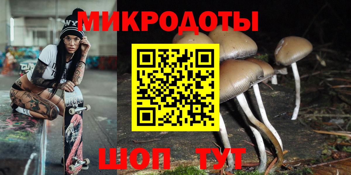 Галлюциногенные грибы Psilocybe Россия